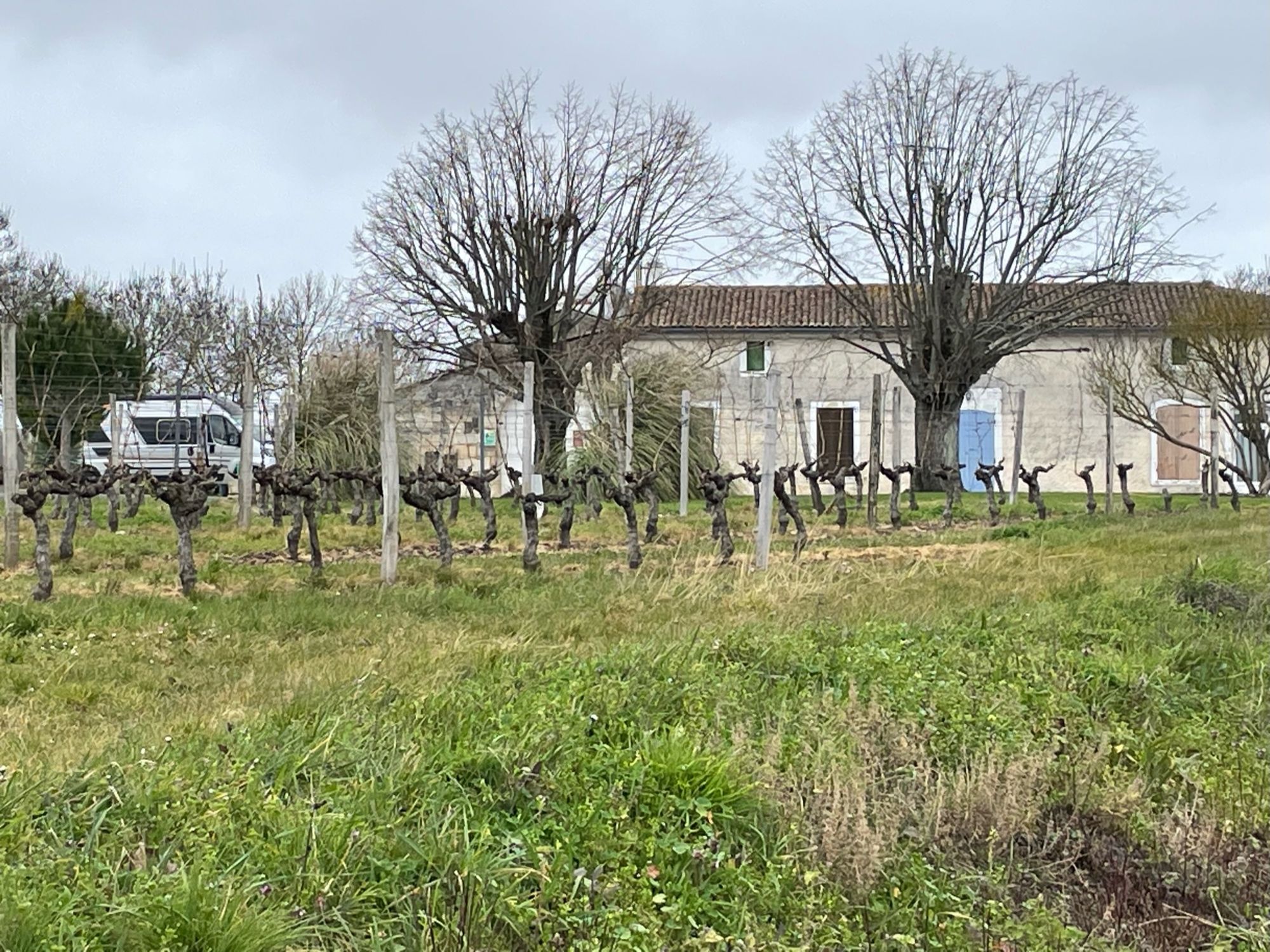 Bordeaux country