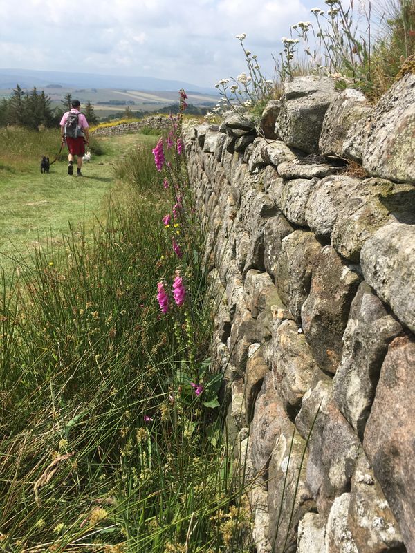 Northumberland - Days 8 & 9 - Hexham and Hadrian's Wall
